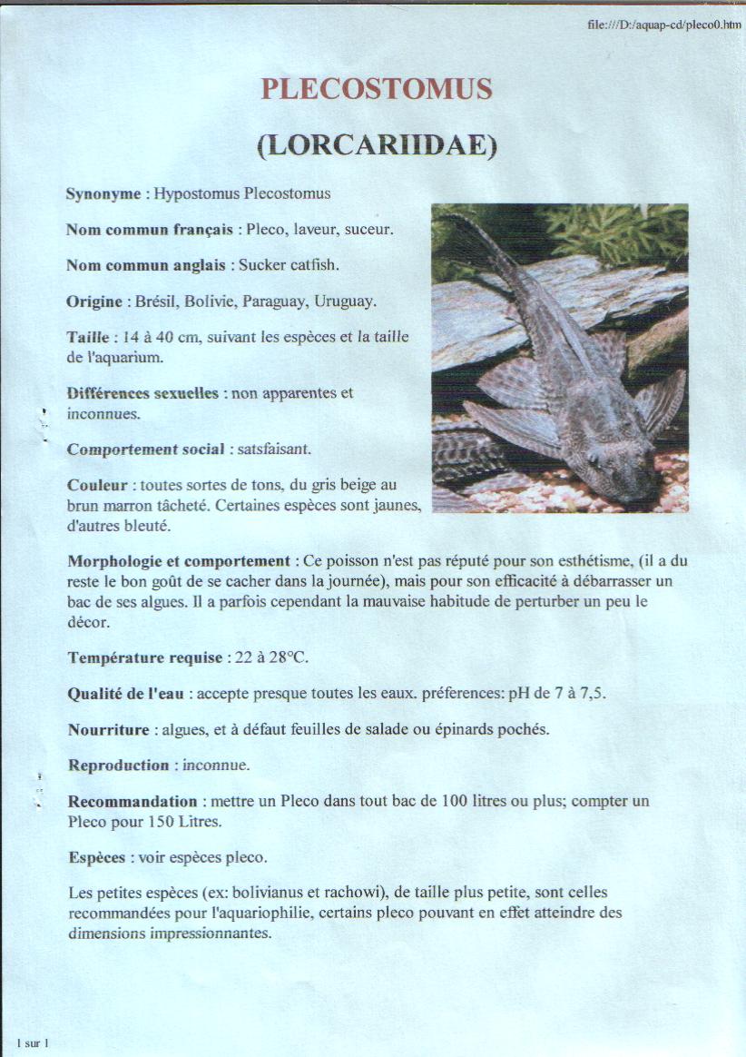 Plecostomus Plecostomus