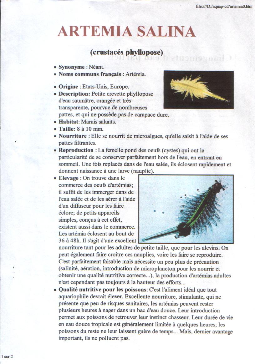 Artemia Salina Artemia Salina