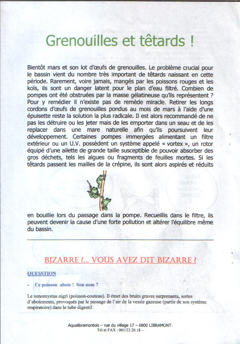Grenouilles et Têtards Grenouilles et Têtards