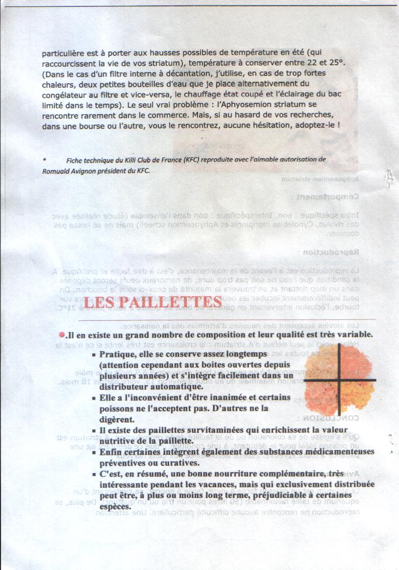 APHYOSEMION STRIATUM, LES PAILLETTES APHYOSEMION STRIATUM, LES PAILLETTES