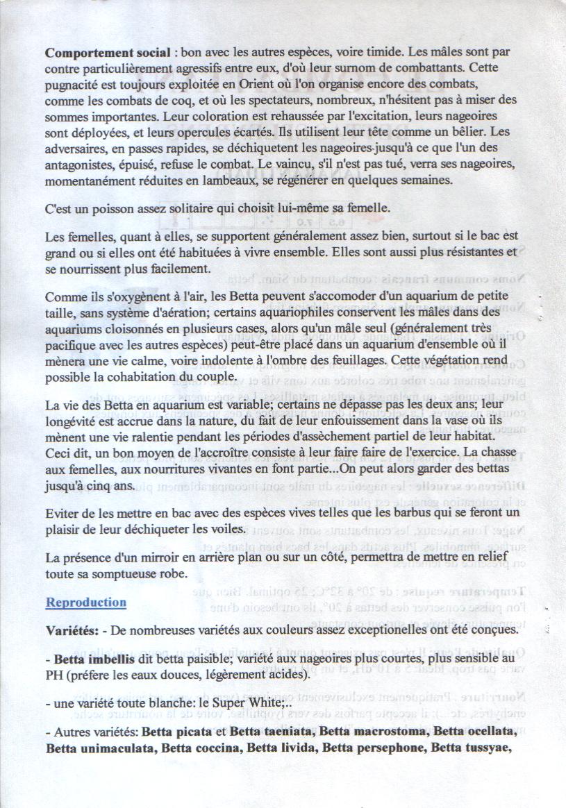 LE COMBATTANT LE COMBATTANT