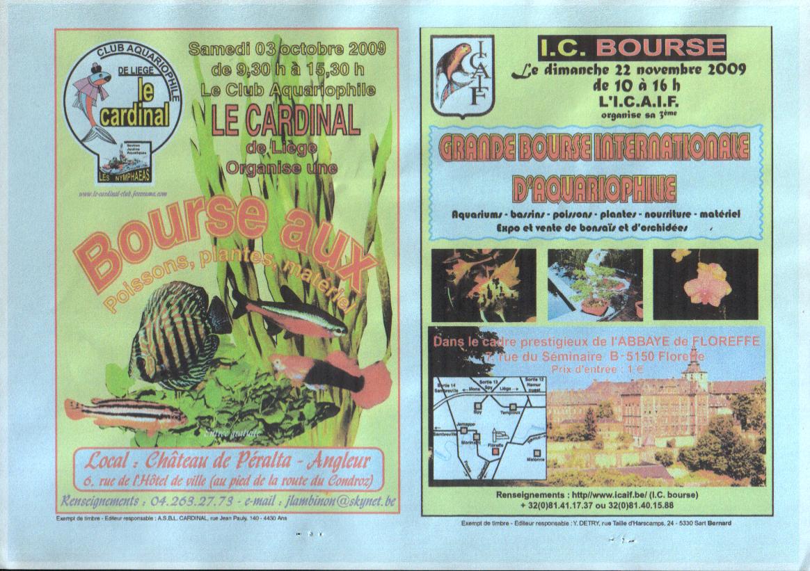 BOURSES BOURSES