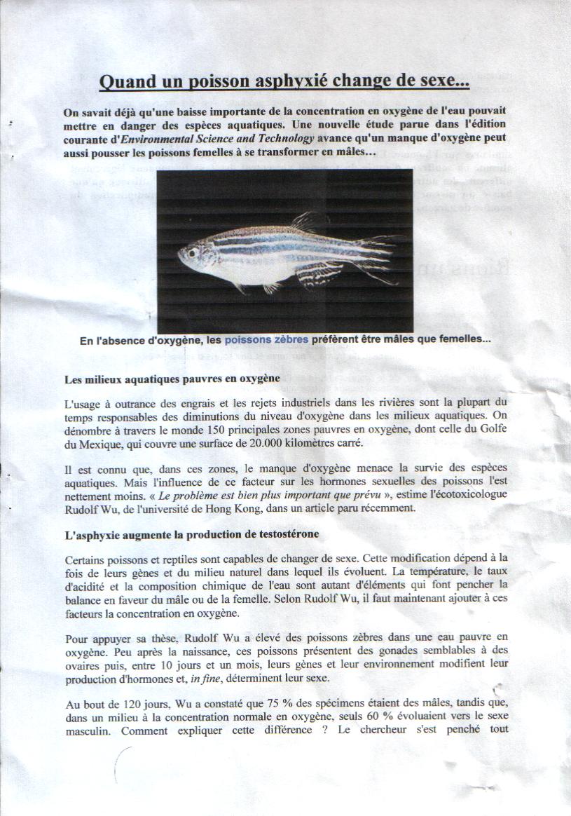 QUAND UN POISSON ASPHYXIE CHANGE DE SEXE QUAND UN POISSON ASPHYXIE CHANGE DE SEXE