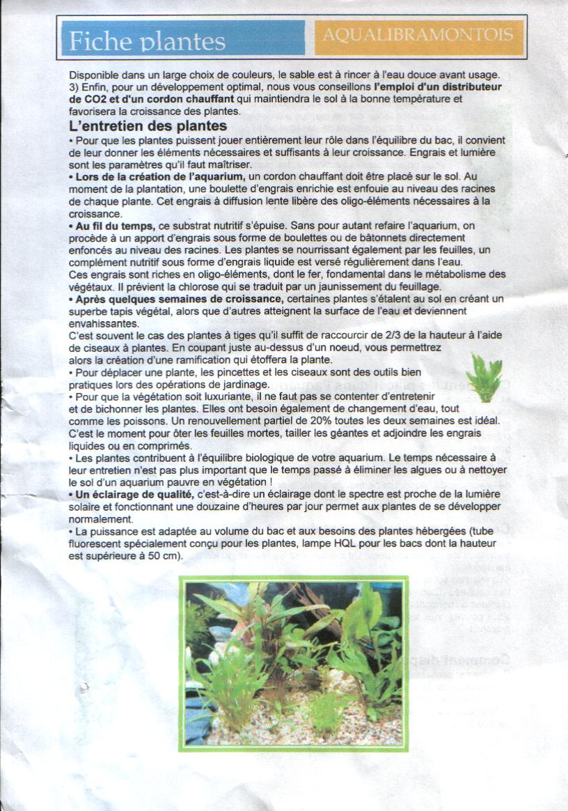 FICHE PLANTES FICHE PLANTES